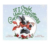 If I Could Give You Christmas