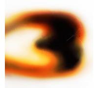 If I Don't Make It, I Love U