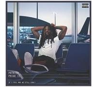 If I Fail Are We Still Cool? [Vinyl]