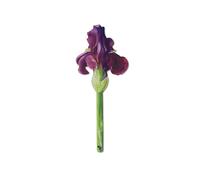 IF Marque-pages en forme de fleur - Iris peint