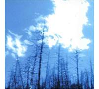 If Not for The Hovering