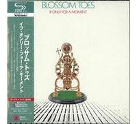 If Only for a Moment [Import Allemand]