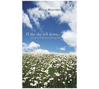 If The Sky Fell Down...