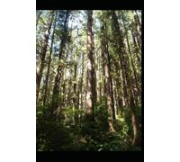 IF THE TREES COULD TALK