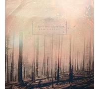 If These Trees Could Talk - Red Forest
