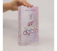 If We Ever Meet Again