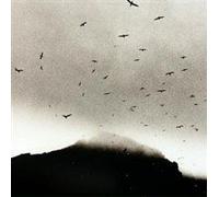 If Wishes Were Horses