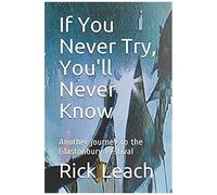 If You Never Try, You'll Never Know: Another Journey To The Glastonbury Festival