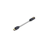 iFi Audio Go Link 2 - DAC Audio portables