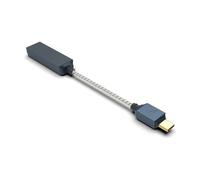 iFi GO Link 2 Max USB DAC/Amplificateur de casque - Double DAC ESS Sabre, 241 mW, Sortie symétrique 4,4 mm, Audio haute résolution, Faible bruit, Extension de la plage dynamique