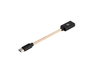 IFI Câble USB OTG Audio Audiophile (Type C)