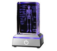 IFOLAINA Modèle d'anatomie de squelette humain 3D en cristal étiqueté - Figurines médicales en os - Cadeau gravé au laser pour étudiants en biologie