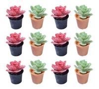 ifundom 12 pièces Miniature Bonsai Artificial Potted Plants for Doll House Decoration Tiny Greenery Model for Mini Landscape Office Bedroom and Living Ornaments