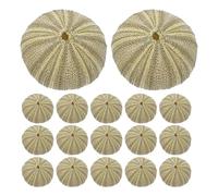 ifundom 18 Pièces Kit de Coquillages Oursins pour Décoration Aquarium Ornements Naturels Coquillages Oursins pour Aquarium Bricolage