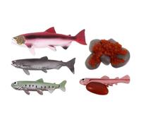 ifundom 1ensemble Jouets Éducatifs Simulation Organismes Marins pour Garçon Fille Découverte des Animaux Océaniques Leur Cycle De Vie Kit De Figurines Réalistes