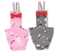 ifundom 2 Pièces Costume de Vol pour Oiseaux Culotte Réutilisable Chic et pour Perroquets et Calopsittes Vêtements Extérieurs Respirants et pour Oiseaux