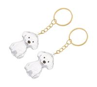 ifundom 2pièces Porte-clés Souvenirs Poils De Chien Étui Transparent pour Conserver Les Poils De Votre Animal Accessoire De Et Porte-clés Multi-usages