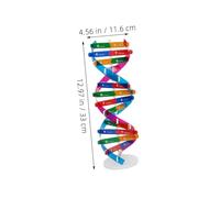 ifundom 3 pièces Kit Modèle Double Hélice Modèle Scientifique DIY pour Apprentissage Biologie Structure Réaliste pour Enseignement Gènes et Projets Collaboratifs