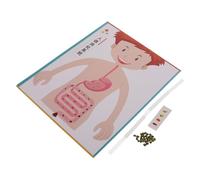 ifundom 4 Ensembles Digestive System Model Kit for DIY Human Anatomy Toy for Educational Science Experiments Interactive Learning and Craft Supplies