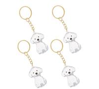 ifundom 4 Pièces Porte-clés Commémoratif en Abs Résistant pour Poils de Chien, Boîte à Souvenirs Portable Conservation des Poils d'animaux Lors du Deuil