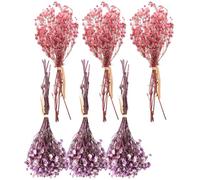 ifundom 6pcs Bouquet de Gypsophile Séché Naturel Mini Fleurs pour Décoration Solide et Ornementale en Différentes Couleurs, pour Salle à Manger et Photos Créatives