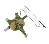 ifundom Costume Dinosaure pour Reptiles Petit Taille en Tissu Doux Harnais de Sécurité Réglable, Tenue pour Dragon Barbu Adaptée aux Promenades et Séances Photo Amusantes