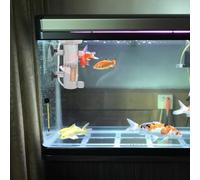 ifundom Écumeur de Protéines Aquarium Pierre à Bulles Silencieuse en Bois Naturel, Diffuseur à Bulles Nano Petite Taille pour Eau Douce et Eau de Mer, Accessoires pour Filtration Poissonniers