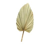 ifundom Feuille de Palmier Séchée Naturelle Matériau Sain en Bois et Feuille de Cattail pour Décoration Murale pour Mariage et Réception