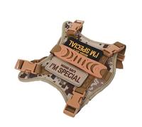 ifundom Harnais et Laisse Tactique pour Chat Réglable Gilet Anti-Fuite Résistant pour Entraînement et Randonnée des Petits Animaux