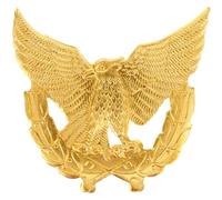 ifundom Insigne Aigle en Alliage de Zinc Doré, Accessoire Décoratif Unique pour Uniforme de Sécurité, Symbole D'autorité Luxueux pour Tenue Professionnelle