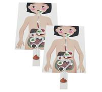 ifundom Kit Scientifique Éducatif Système Digestif Humain 2 Kits à Monter Soi-même pour Garçon et Filles, Modèle Anatomique Détaillé, Matériel Pédagogique Stimulant la Motricité Fine