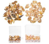 ifundom Lot de 2 Coquillages Naturels Jaunes pour Décoration Aquarium Ensemble de Conques Artisanales Écologiques Accessoires de Bricolage pour Décor D’Aménagement Paysager Aquatique