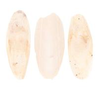 ifundom Lot De 3 Jouets à Mâcher en Os De Seiche pour Perroquet, Riche en Calcium, Taille 8-12 Cm, Suspendus pour Cage Ou Balcon, Adaptés Aux Perroquets Et Petits Animaux De Compagnie