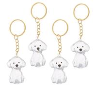 ifundom Lot de 4 Porte-clés Commémoratifs pour Poils d'animaux en Abs Transparent, Petit Format pour Chien, Boîte Souvenir Pratique, Accessoire de Rangement Émotionnel pour