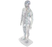 ifundom Mannequin de simulation acupuncture avec méridiens précis en plastique blanc pour praticiens de massage en établissements médicaux