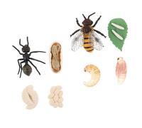 ifundom Modèles Éducatifs du Cycle de Vie des Insectes en Plastique Sûr - 2 Ensembles Comprenant Cycle de Croissance Abeille et Fourmi - Éducatif pour Garçon et Filles - Kit Pédagogique
