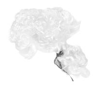 ifundom Perruque De Juge Cosplay Accessoire Pour Avocat Costume Halloween Perruque à Queue De Cheval Pour Adultes Pour Et Représentations