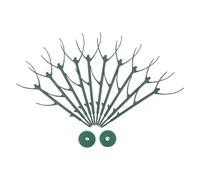 ifundom Support pour Plantes Grimpantes Robuste 10 Pièces Tuteurs 60 Cm Clips Magiques 2 M Support pour Plantes D’intérieur et Extérieur Jardinage et Entretien