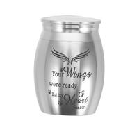 ifundom Urne pour Animaux Compacte Acier Inoxydable avec Gardiennes Urne Funéraire Miniature pour Cendres de Chien et Chat Boîte Commémorative Pratique