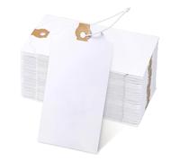 iFutniew Lot de 120 étiquettes avec cordon élastique de marquage avec attachée, trou renforcé, étiquettes inscriptibles de 12 x 6 cm