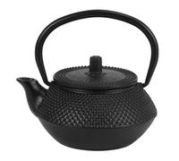 iFutniew Théière en fer à petites particules avec infuseur en acier inoxydable - Théière japonaise en fonte - 300 ml