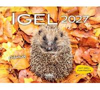 Igel 2027 Eintragkalender: 12 süße Aufnahmen der stacheligen Gesellen - mit witzigen Namen