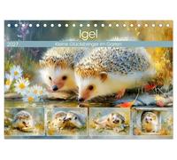 Igel. Kleine Glücksbringer im Garten (Tischkalender 2027 DIN A5 quer), CALVENDO Monatskalender: Bezaubernde Illustrationen von niedlichen Igel in malerischer Naturkulisse