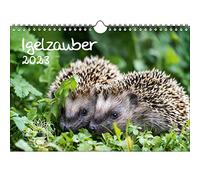 Igelzauber Calendrier format A4 pour hérisson 2023 - Seelenzauber