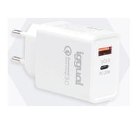 Iggual - Adaptateur Secteur - 20 Watt - Qc 3.0, Pd - 2 Connecteurs De Sortie (24 Pin Usb-C, Usb) - Blanc