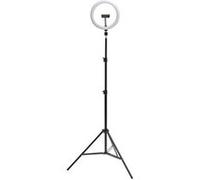 iggual - Éclairage annulaire - 1 têtes - LED - 8 W - CC G