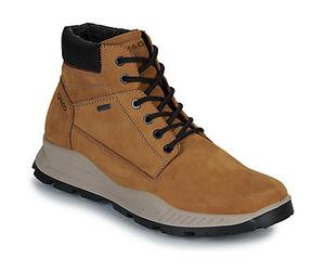 IgI&CO Boots U.ELOY GTX in Marron 44