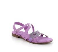 IGI&CO Femme D.babila Sandale Plate, Lilas, 37 EU