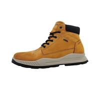 IGI&CO Homme U.eloy GTX Bottine, Cuir, 43 EU