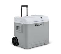 IGLOO IE42 AC/DC Glacière électrique avec poignée télescopique et roulettes pour Voiture et Prise de Courant, Mini-réfrigérateur 42 L, 12V et 230V, Gris.
